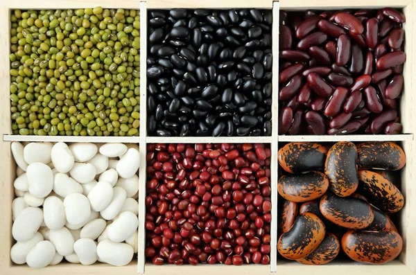 Beans. — Stock Photo, Image