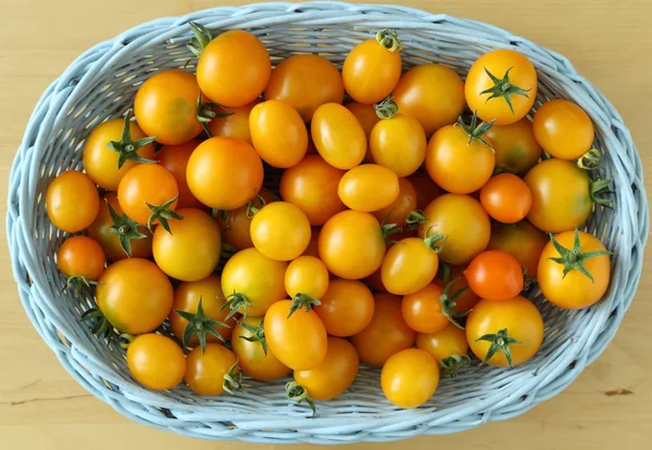 Pomodori. — Foto Stock