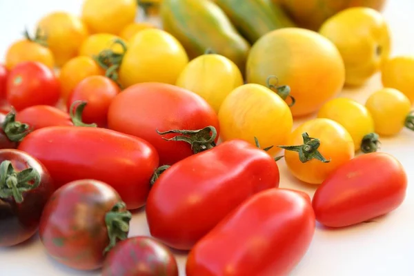 Tomates. — Fotografia de Stock