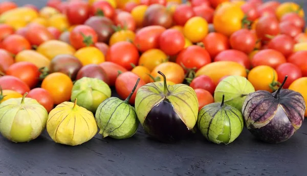 Tomaten und Tomatillo. — Stockfoto