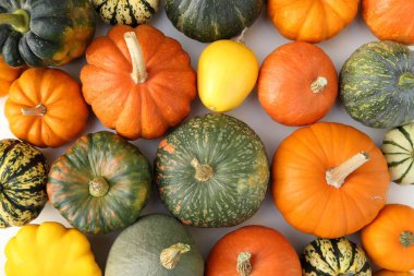 Squash ve kabaklar.