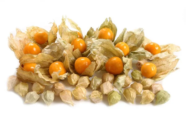 Frutti di Physalis . — Foto Stock