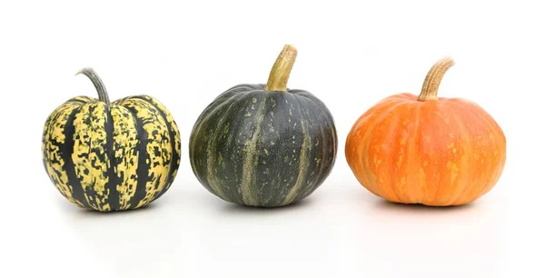 Pumpkins. Stock Picture