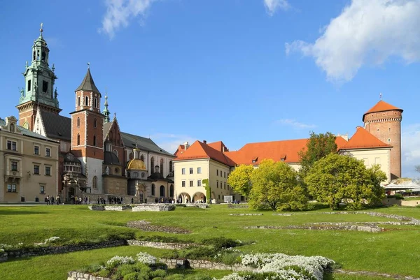 Cracóvia Polônia Famosa Catedral Wawel Com Telhado Ouro Capela Sigismund — Fotografia de Stock