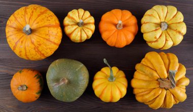 Farklı renk ve tipte kabak ve kabak koleksiyonu.