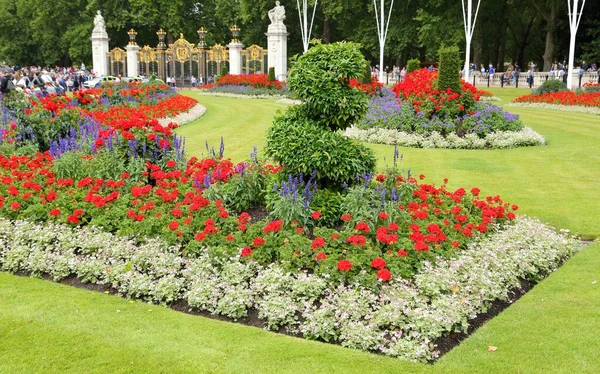 Beau Parterre Fleurs Avec Géraniums Rouges Sauge Bleue — Photo