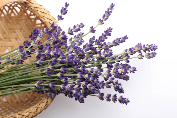 Blooming Lavender Basket White Background Top View — Stock Photo, Image