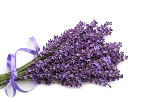 Lavanda Florescente Fundo Branco Vista Superior — Fotografia de Stock