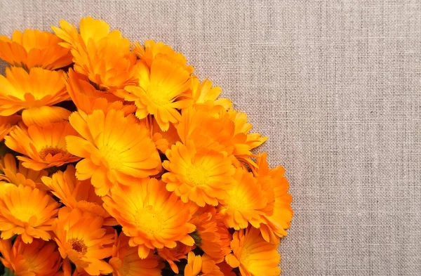 Orange Flowers Marigolds Background Natural Linen Fabric — Stock Photo, Image