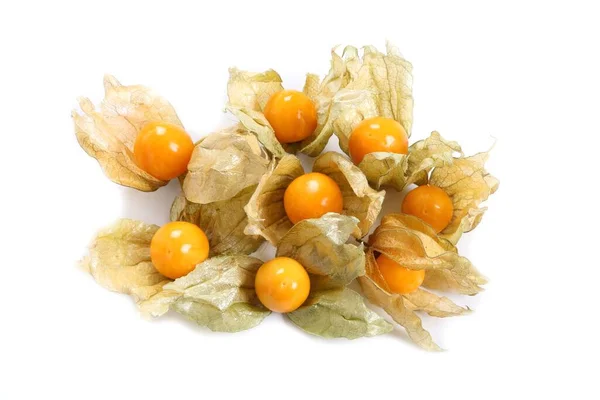 Physalis Früchte Physalis Peruviana Auf Weißem Hintergrund Goldene Beere Kapstachelbeere — Stockfoto