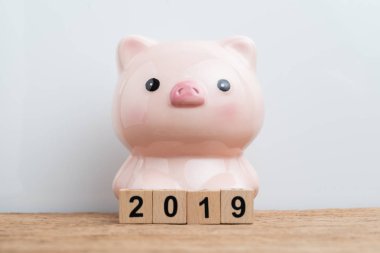 Yıl 2019 Finansal hedef, bütçe, yatırım veya iş hedefleri
