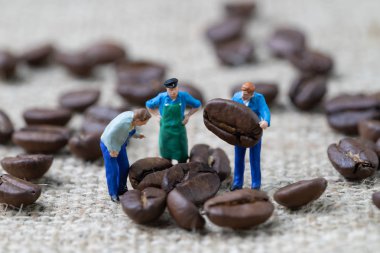 Kahve çekirdekleri iş uzmanı veya profesyonel kavram, minyatür 