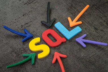 Yazılım geliştirme veritabanı için Sql modern programlama dili