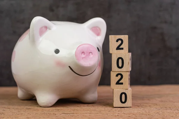Year 2020 financial goal, savings, budget or investment, happy s