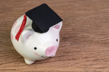 Eğitim fonu, Burslar, üniversite masraf ı ve giderleri veya sav