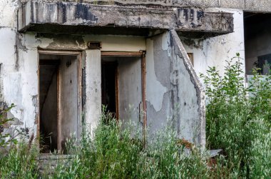 Günbatımında yüksek katlı bina terk edilmiş. çim ve ağaçların ile büyümüş.