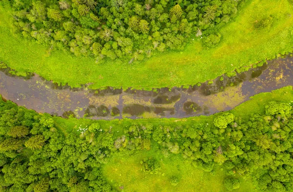 Luchtfoto drone uitzicht op rivier begroeid met riet en gras snijden door bos — Stockfoto