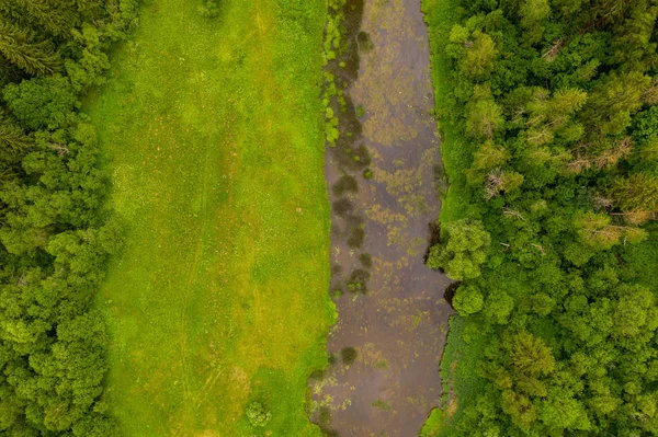 川の伐採トラフの森。空中ドローンビュー ストックフォト