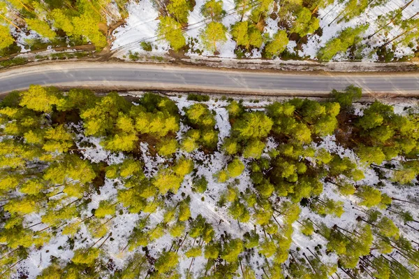 Oude asfalt weg in het voorjaar bos top uitzicht sneeuw smelt op de zijkant van de weg en tussen de bomen. — Stockfoto