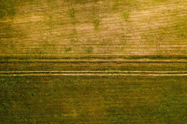 Hierba joven en el campo agrícola, después de que la nieve se derrita. En el campo rastros visibles de transporte. Fondo de vista aérea abstracta —  Fotos de Stock