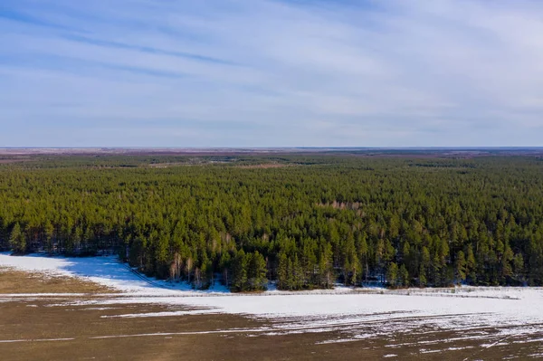 En la frontera del bosque y el campo la nieve se derrite. Disparo aéreo con drones —  Fotos de Stock