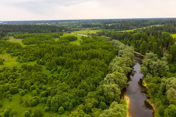 Река вырубает лощину леса. Воздушный беспилотник — стоковое фото