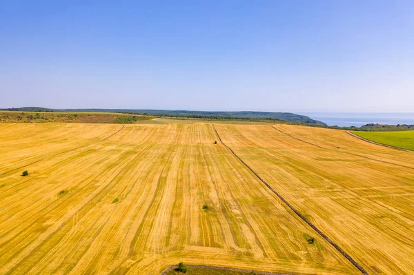 Промышленный ландшафт с полем после сбора пшеницы. Воздушный беспилотник — стоковое фото