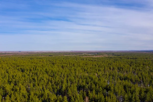 Lente landschap met bos en blauwe lucht. Luchtfoto van Drone — Stockfoto