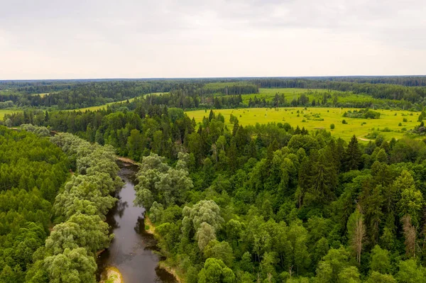 Rzeki koryta lasu. Strzał z drona antenowego — Zdjęcie stockowe