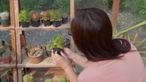 Chica Compras Una Tienda Cactus Planta — Vídeo de stock