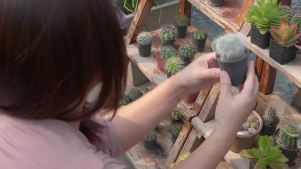 Menselijke Hand Bij Het Kiezen Van Cactus — Stockvideo