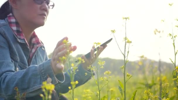 Primer Plano Joven Agricultor Observando Una Tableta Campo Barbecho — Vídeo de stock