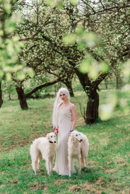 Uzun saçlı sarışın kadın bahçede Rus kurt köpeği ile oynuyor, çiçek açıyor.