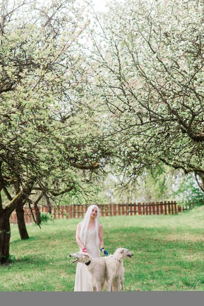 Beyaz Elbiseli Sarışın Kadın Bahçede Rus Köpeğiyle Oynuyordu — Stok fotoğraf