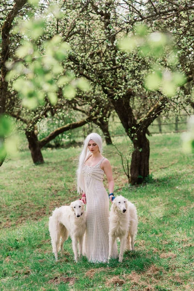 Beyaz Elbiseli Sarışın Kadın Bahçede Rus Köpeğiyle Oynuyordu — Stok fotoğraf