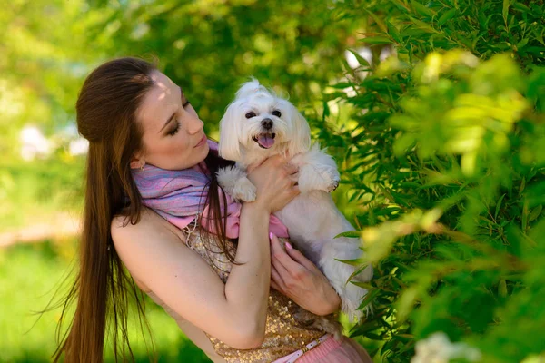 Een Jong Meisje Met Haar Hond Puppy Witte Hond Loopt — Stockfoto