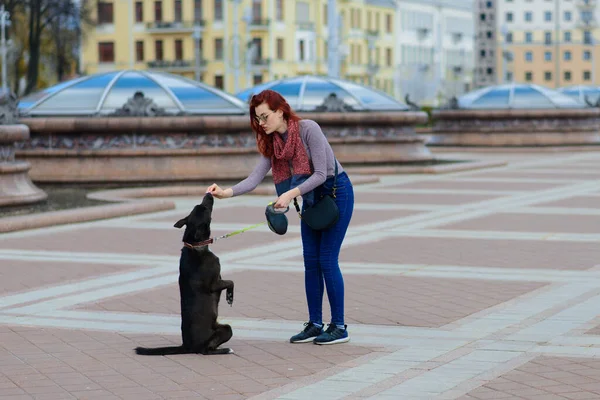 Jovem Feliz Bonita Com Cão Preto Bonito Divertir Rua Conceito — Fotografia de Stock