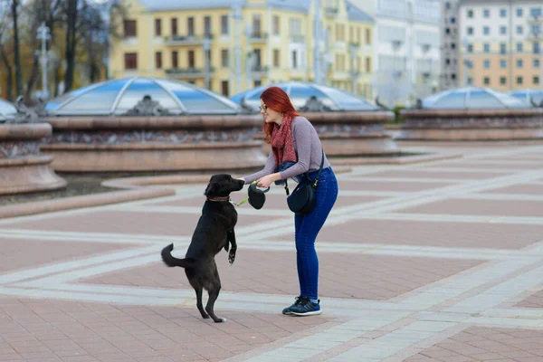 Schöne Glückliche Junge Frau Mit Niedlichen Schwarzen Hund Haben Spaß — Stockfoto
