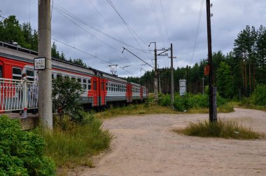 Yaz aylarında doğanın güzelliği