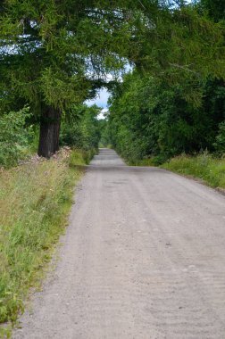 Yaz aylarında doğanın güzelliği