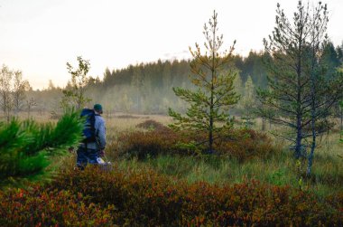 Yaz aylarında doğanın güzelliği