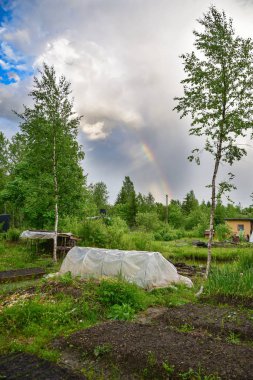 Yaz aylarında doğanın güzelliği