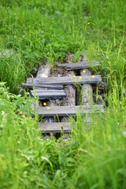 Yaz aylarında doğanın güzelliği