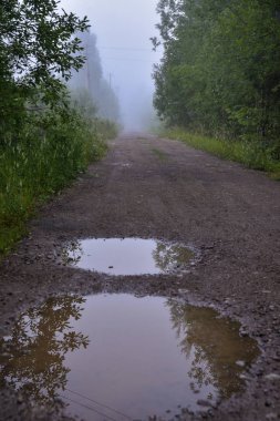 Yaz aylarında doğanın güzelliği