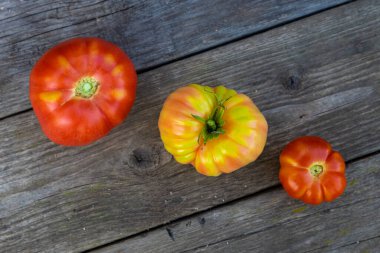 Ahşap arka plan manzaralı domatesler.