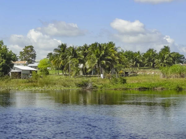 Riparian Scenery Including Some Settlement New River Belize Central America — Stock Photo, Image