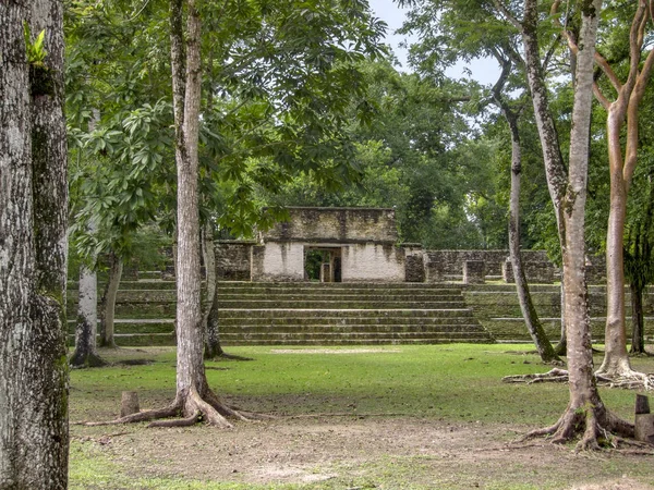 Maya Tapınak Karmaşık Adlandırılmış Cahal Pech Belize Orta Amerika Bulunan — Stok fotoğraf