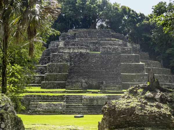 Sunny Scenérie Kolem Chrámu Lamanai Belize — Stock fotografie