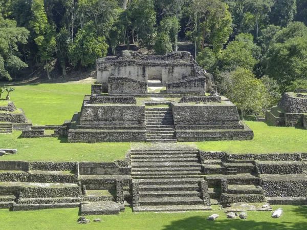 Maya Archeologicznego Nazwie Caracol Znajduje Się Belize Ameryce Środkowej — Zdjęcie stockowe