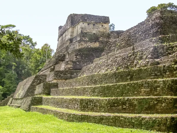 Ancient Maya Archaeological Site Named Caracol Located Belize Central America — Stock Photo, Image
